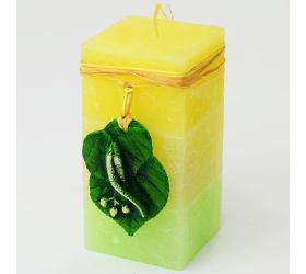 Ovocné s prív.kvád 70x140 lipa