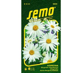 Margaretka biela shasta daisy 0,8g 16,