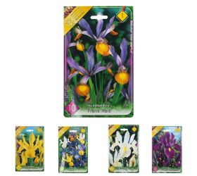 Iris mix
