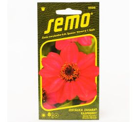 Cínia zahara raspberry 15s