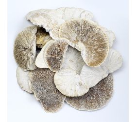 Sponge mushroom white wash 200g i195wwpacz