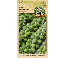 Kel ruž. casiopea 1g