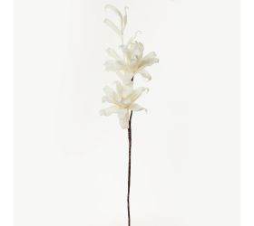 Ks kvet pena - biela 85cm super cena