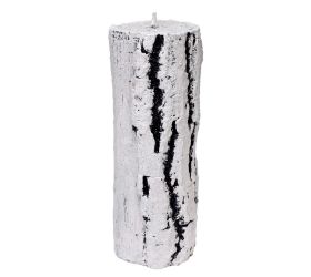 Peň val.stredný breza v20cm