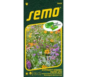 Kvetinový koberec pestré léto 6g