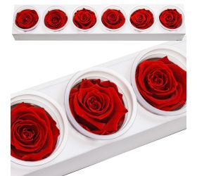 Ruža preparovaná 6,5cm vibrant red /ks - bal. 6 ks