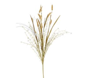 Zeleň setaria hnedá 60cm