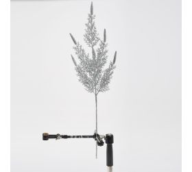 Konár papraď strieborný 60cm