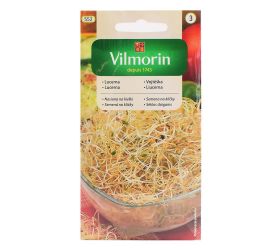 Lucerna na klíčky 20g 10/14