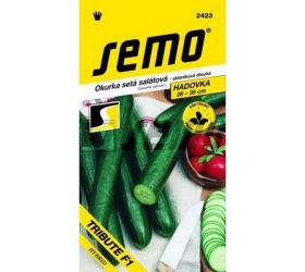 Uhorka šal tribute f1 10s