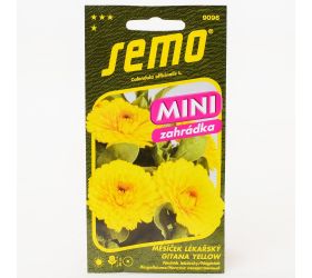 Nechtík lekársky bon bon yellow 20s