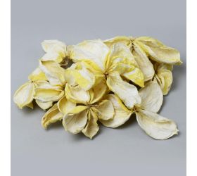 I092wpacz land lotos wyb. s/10