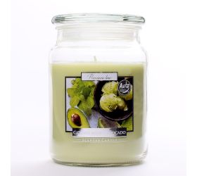 Voň.v skle s vrchn.mata+avok./snd99-353/500gr 15cm