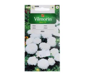 Astrovka čínska trpaslík albit 0,5g