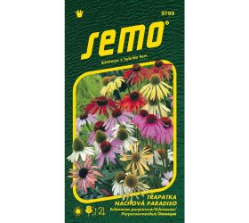 Echinacea purpurová paradiso 12s