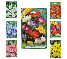 Freesia mix