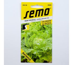 Šalát hláv.batavus