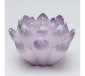 Ľalia dioda fialová