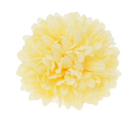 Hlava chryzantéma bledo-žltá 12cm