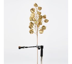 Konár eucalyptus zlatý 70cm