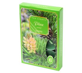 Čajové voňavé/6 sosna