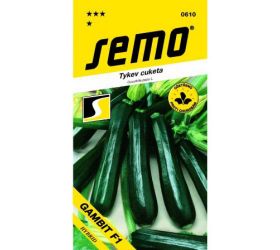 Tekvica gambit f1 1,5g