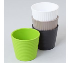 56371 obal na kaktus expresive 937/09