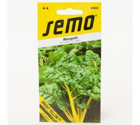 Mangold bright yellow f1