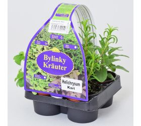 Bylinky mix coctail 4 pak