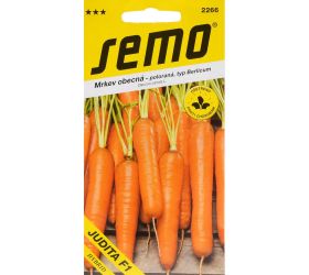 Mrkva judita f1 1,3g