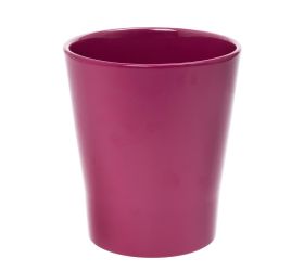 Obal orch.merina blackberry 18cm