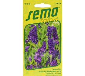 Levanduľa munstead blue 0,4g