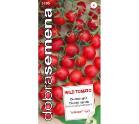 Divoký rajčiak wild tomato 40s
