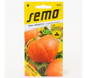 Tekvica amoro f1 (typ hokkaido) 5s