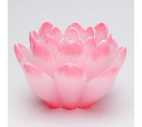 Ľalia dioda ružová