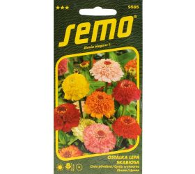 Cínia scabiosa 0,6g