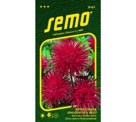 Astra čínska electric červ 0,5g