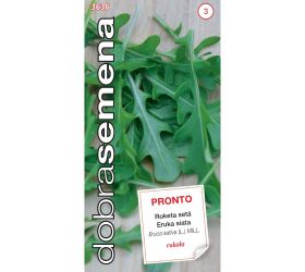 Roketa siata pronto 3g