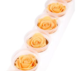 Ruža preparovaná 6,5cm perfect peach /ks