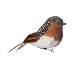 Vtáčik na štipci hnedo-biely perie 14*5*6,5cm