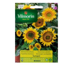 Trpasličia slnečnica sunspot 1g