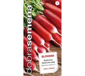 Reďkovka dvojfar. slovana 4g