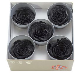 Ruža preparovaná 7cm black /ks - bal. 5 ks