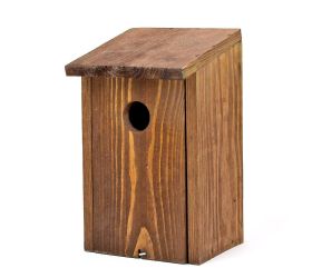 Tb08.br búdka breza v30cm