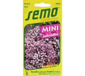 Bazalka purple ball 20s