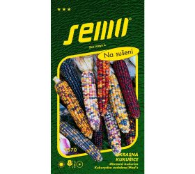 Okrasná kukurica multicolor 4g