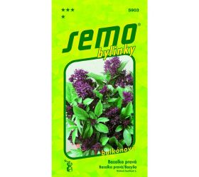 Bazalka siam queen balkon 0,3g