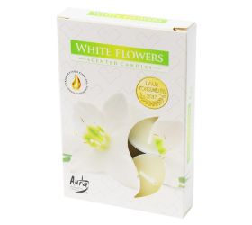 Čajové voňavé/6 biele kvety