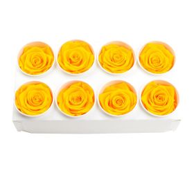 Ruža preparovaná 5cm sunny yellow /ks - bal. 8 ks
