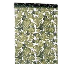 Fólia 50/10 monstera